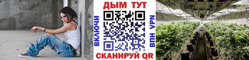 закладка  Красково  Бошки Шишки конопля 
